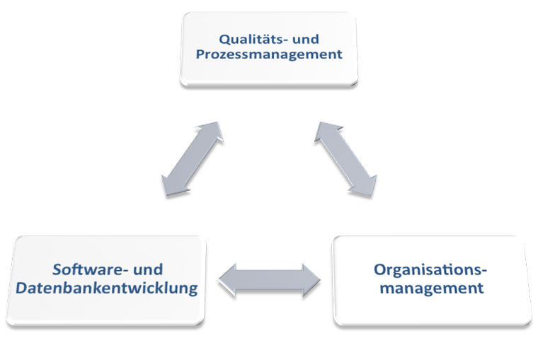 Qualitäts- und Prozessmanagement,  Organisationsmanagement,  Software- und Datenbankentwicklung 
